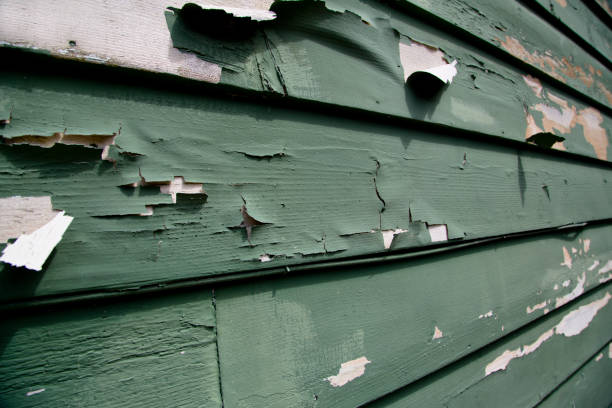 Best Property Management Cleanouts  in Falmouth, KY